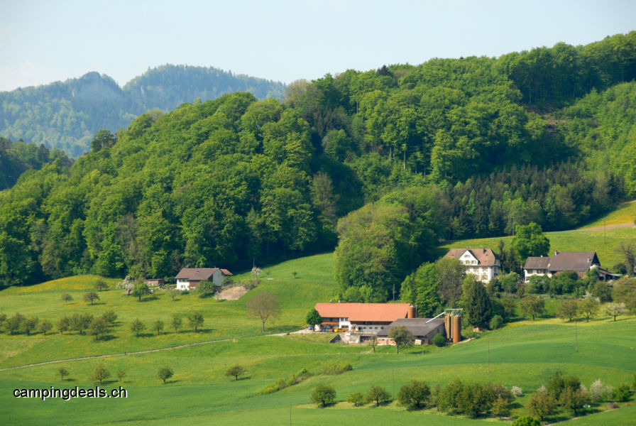 Camping Neuhaus