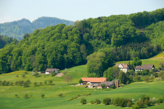 Camping Neuhaus