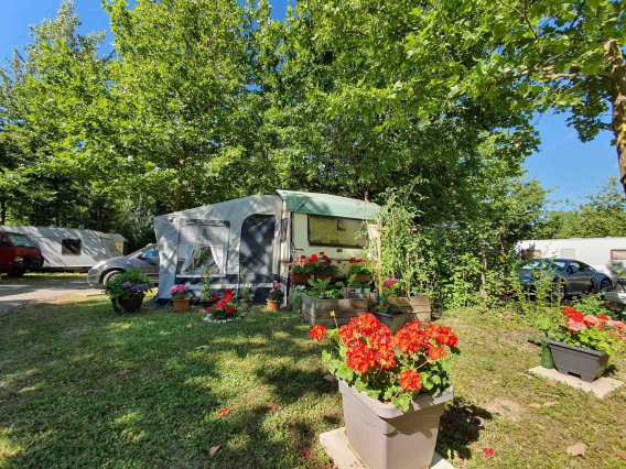 Geneva City Camping Bois de Bay