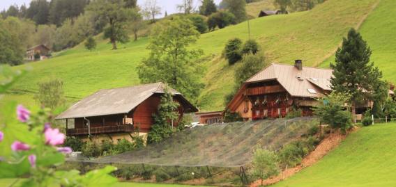 Stellplatz Rässhaus